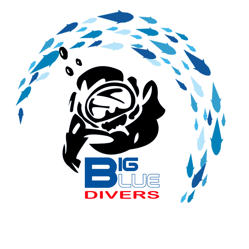 -  BIGBLUE DIVERS ROME - Corsi Sub Roma